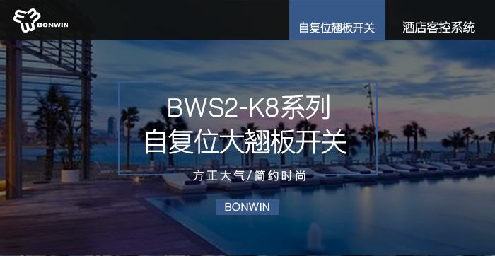 自復(fù)位大翹板開關(guān)——方正大氣，簡約時尚